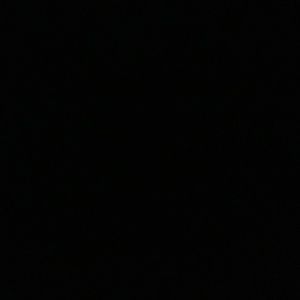 Meet your Posher, Bruce